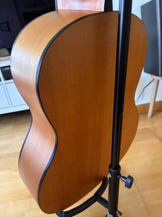 Guitarra Salvador Cortez CC06 4/4 (funda incluída)