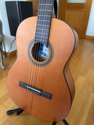 Guitarra Salvador Cortez CC06 4/4 (funda incluída)