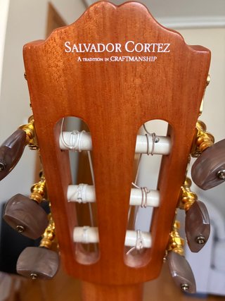 Guitarra Salvador Cortez CC06 4/4 (funda incluída)