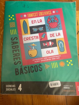 Ciencias Sociales 4, Segundo Ciclo Primaria, Ar...