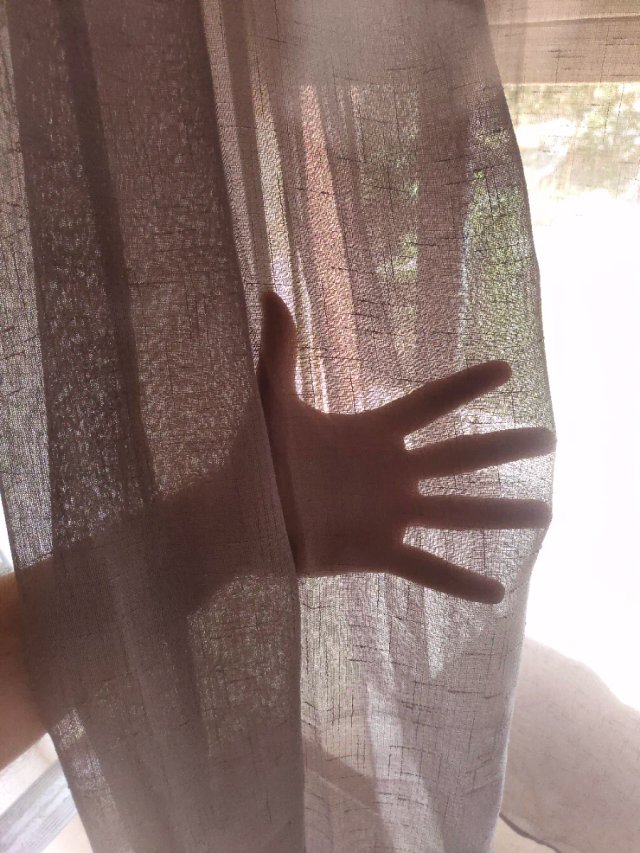 Cortina tipo Lino fino transpr.225x300 Gris oscuro
