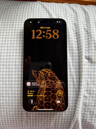 iPhone 15 Pro Max 512 GB Negro