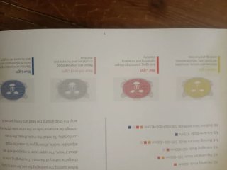 Máscara Facial LED LumiRed
