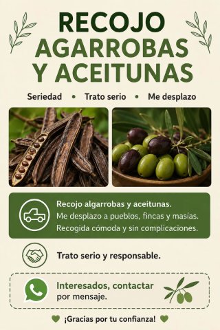 Recogida de aceitunas y algarrobas