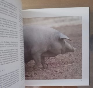 LOTE LIBROS GASTRONOMÍA MINISTERIO AGRICULTURA