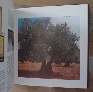 LOTE LIBROS GASTRONOMÍA MINISTERIO AGRICULTURA