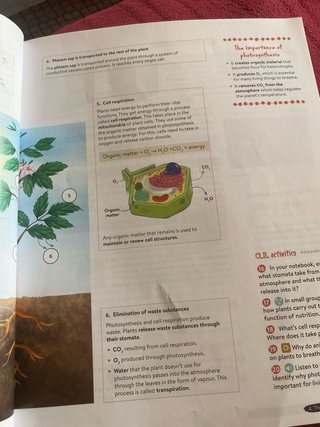 Biology & Geology 1º ESO. Student's book. GENiOX
