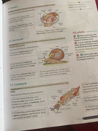 Biology & Geology 1º ESO. Student's book. GENiOX