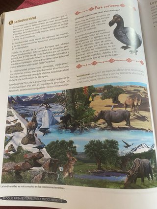 Geografía e Historia 1 ESO