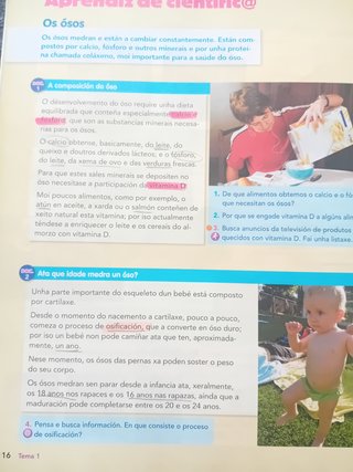Naturais, 6 Educación Primaria