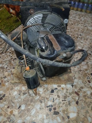 Motor congelador carne