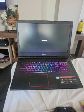 MSI GE73 Raider RGB 8RF 17 Notebook