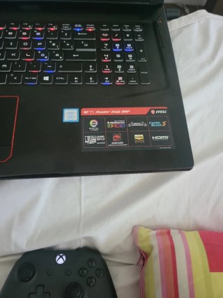 MSI GE73 Raider RGB 8RF 17 Notebook