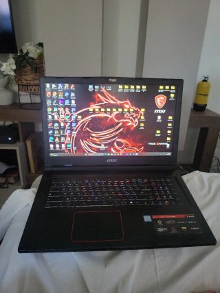 MSI GE73 Raider RGB 8RF 17 Notebook