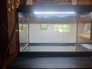 Acquario 33 Litri con accessori