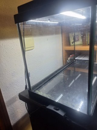 Acquario 33 Litri con accessori