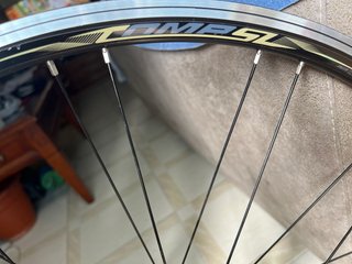 Rueda delantera bici carretera nueva