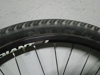 Rueda delantera 26 giant para freno de disco