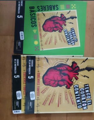 Libros de 5 Primaria de Pablo VI