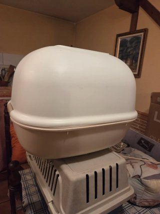 Box per gatti e trasportino
