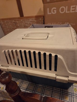 Box per gatti e trasportino