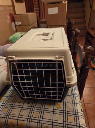 Box per gatti e trasportino