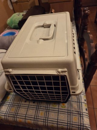 Box per gatti e trasportino