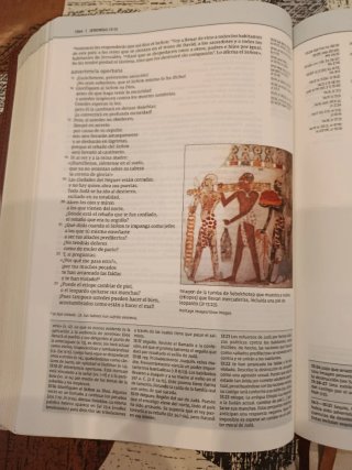 Biblia de estudio teologia biblica