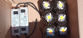 Foco LED Cultivo COB + Driver Mean Well ELG-150-36