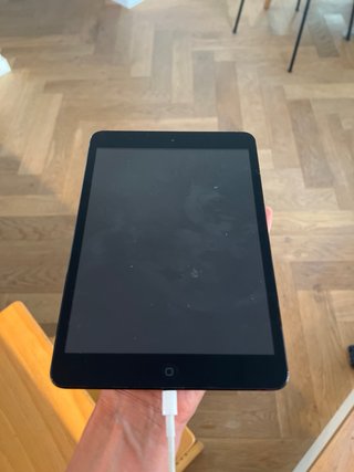 iPad Mini Space Gray