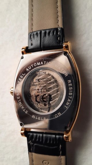 Orologio Automatico Uomo Jinskintn Oro Nero