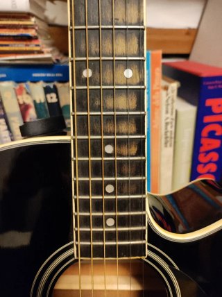 Chitarra Acustica Elettrificata SX Nera - Cutaway