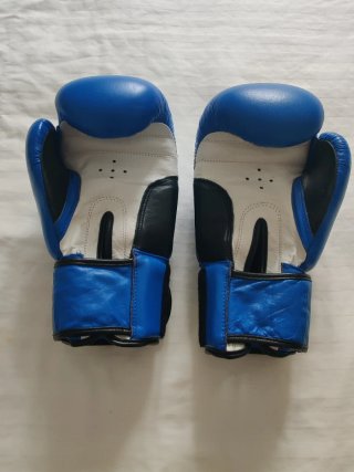 Guantes Boxeo Shark Amateur 10oz + vendas Adidas