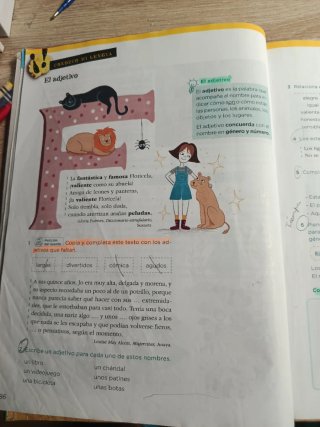 Lengua 3 Primaria : Operación Mundo.Anaya.