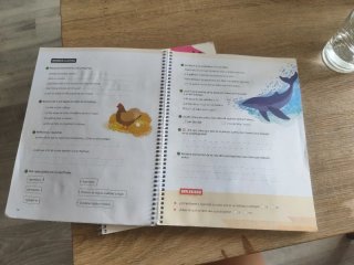 Comprensión lectora en contexto 6 - Primaria