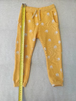 Conjunto chándal dinosaurio 2-3 años