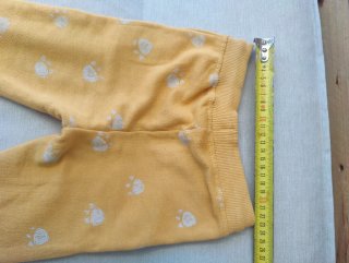 Conjunto chándal dinosaurio 2-3 años