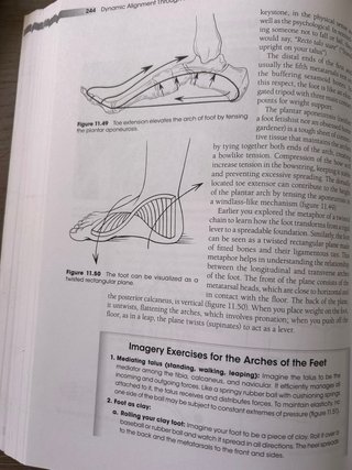 DINAMIC ALIGNMENT THROUFH IMAGERY  (en ingles )