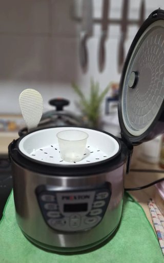 Olla Robot PRIXTON