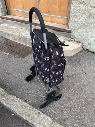 Carrello spesa triruote ORMI ritiro a mano BG