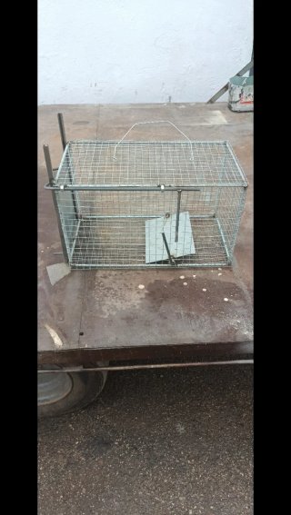 Jaula para ratas y otros animales