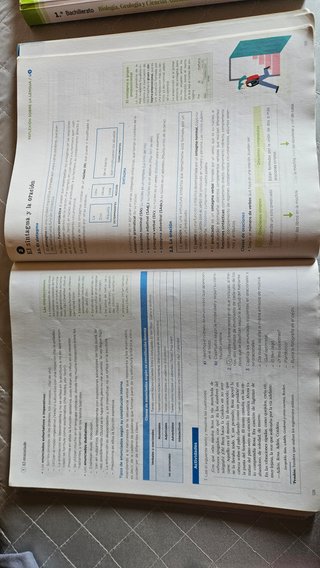 Lengua y Literatura, 1 Bachhillerato