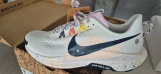 Zapatilla Nike pegasus trail 5