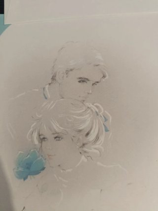 Carta Papelería serie Romántica tono verdoso