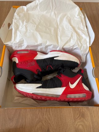 Nike Lebron Witness VII