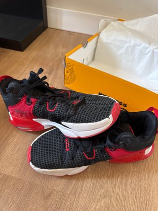 Nike Lebron Witness VII