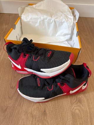 Nike Lebron Witness VII