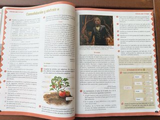 Lengua castellana y literatura 1o ESO