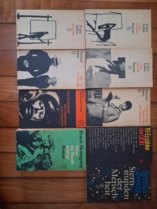 Lote 9 Libros Fischer Kafka Thomas Mann Zweig