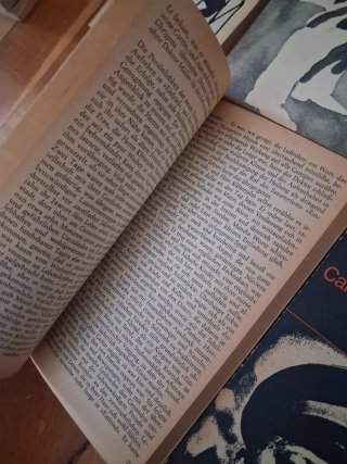 Lote 9 Libros Fischer Kafka Thomas Mann Zweig